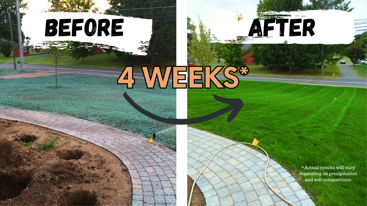 Before and after a Hyrdroseeding of a lawn.
